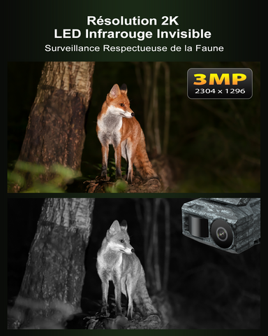 Xega 4G Caméra Solaire avec Carte SIM & 2 Panneaux, Extérieure Camera Chasse 4G sans Fil, Détection de Mouvement, Vision Nocturne sans Lumière