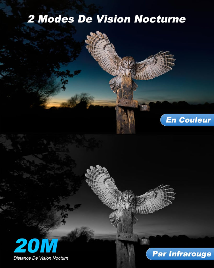 4G LTE Camera de Chasse avec Carte Sim, 2K 3MP IP Caméra Solaire Extérieure sans Fil à Batterie, PTZ Projecteur/Sirène Détection de Mouvement Personnalisée