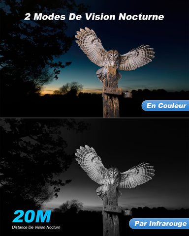 4G LTE Camera de Chasse avec Carte Sim, 2K 3MP IP Caméra Solaire Extérieure sans Fil à Batterie, PTZ Projecteur/Sirène Détection de Mouvement Personnalisée