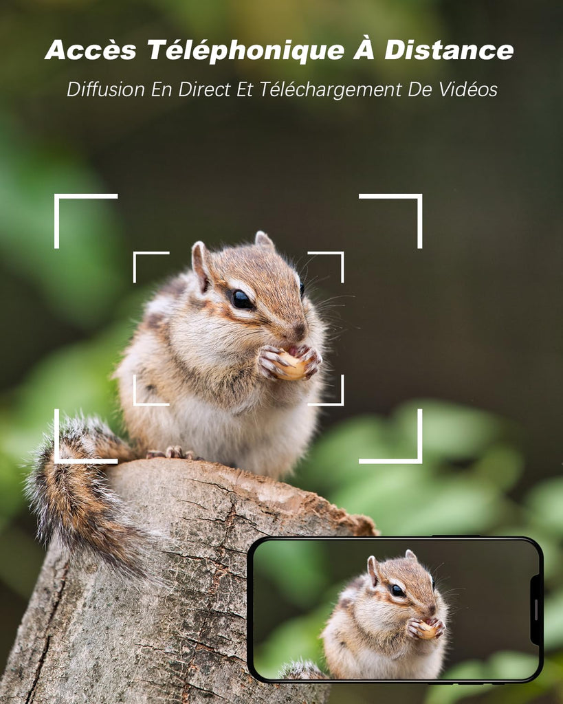 4G LTE Camera de Chasse avec Carte Sim, 2K 3MP IP Caméra Solaire Extérieure sans Fil à Batterie, PTZ Projecteur/Sirène Détection de Mouvement Personnalisée