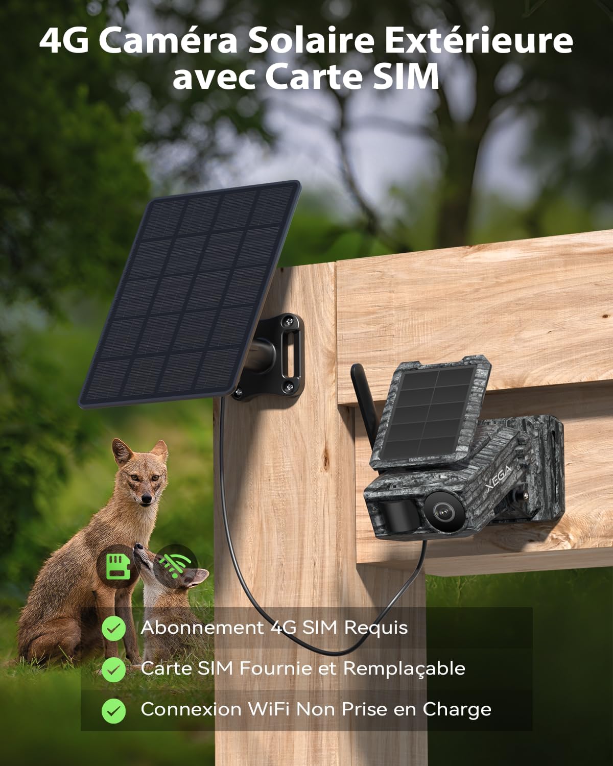Xega 4G Caméra Solaire avec Carte SIM & 2 Panneaux, Extérieure Camera Chasse 4G sans Fil, Détection de Mouvement, Vision Nocturne sans Lumière